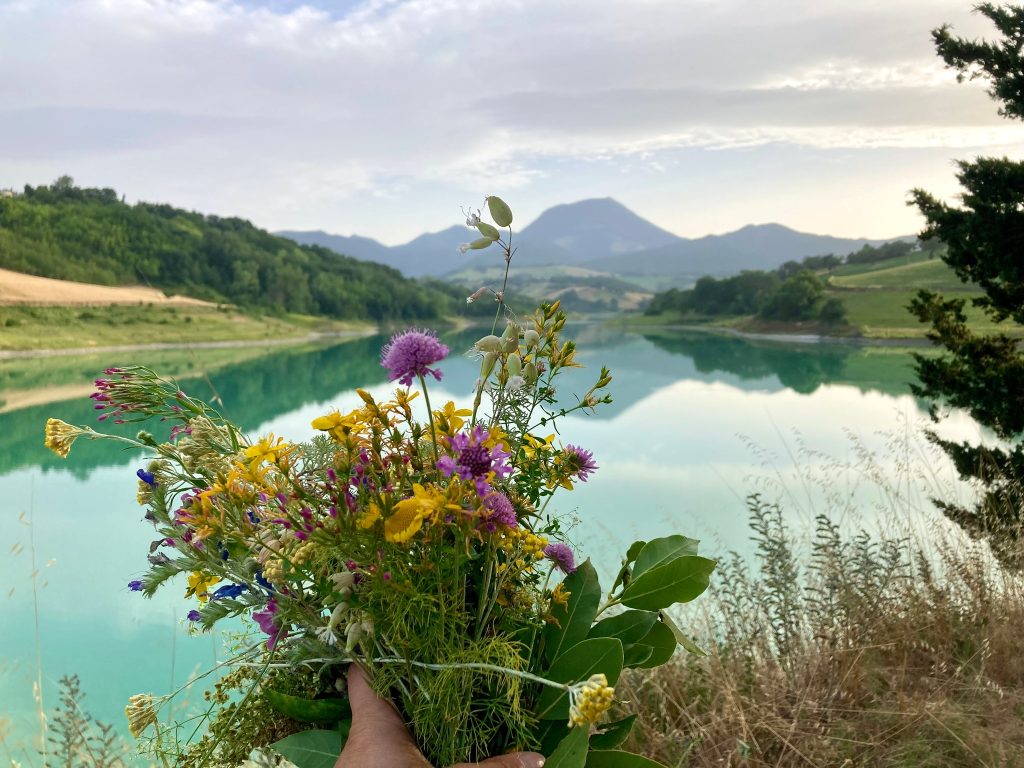 Composizione floreale erbe selvatiche lago di cingoli